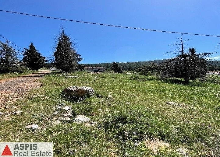 (For Sale) Land Plot for development ||  West Attica/Erythres - 1.300 Sq.m, 65.000€