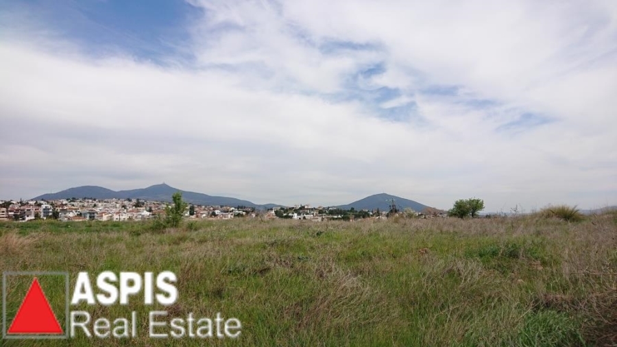 (For Sale) Land Agricultural Land  || Thessaloniki Suburbs/Pylaia - 4.005 Sq.m, 680.000€