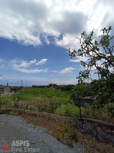 (For Sale) Land Plot || Lesvos/Mytilini - 2.591 Sq.m, 45.000€