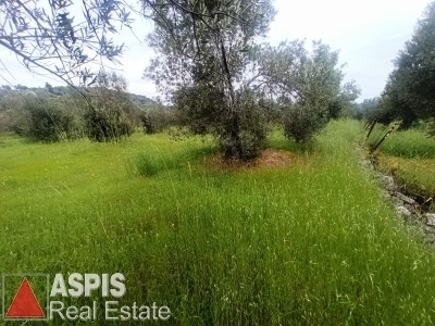 (For Sale) Land Agricultural Land  || Lesvos/Mytilini - 3.319 Sq.m, 12.000€