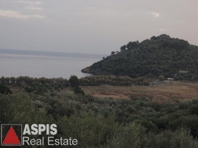 (For Sale) Land Plot out of City plans || Lesvos/Mytilini - 4.602 Sq.m, 60.000€
