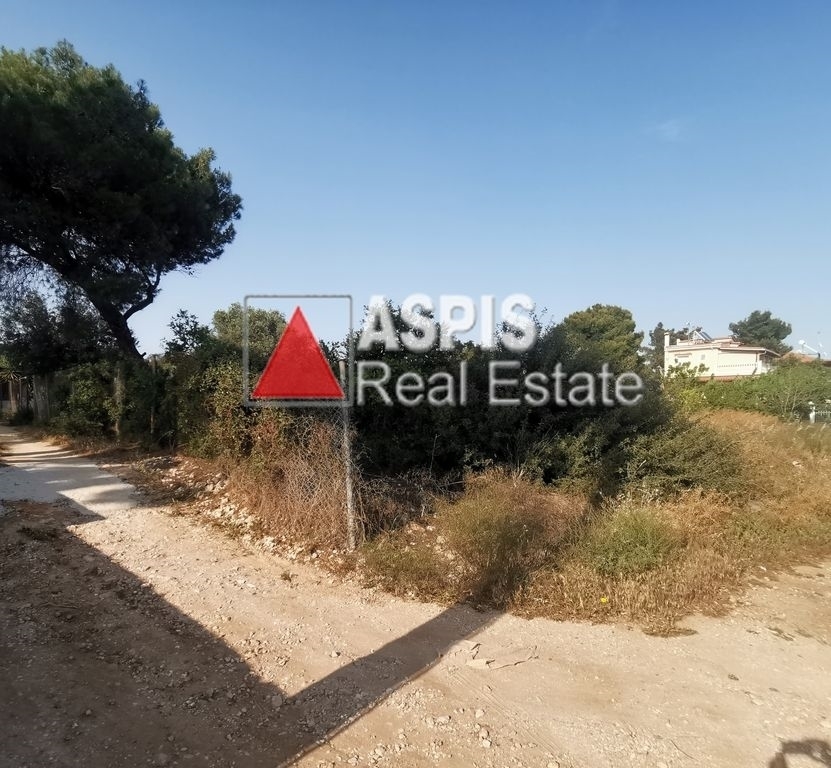 (For Sale) Land Plot for development || East Attica/Artemida (Loutsa) - 486 Sq.m, 65.000€