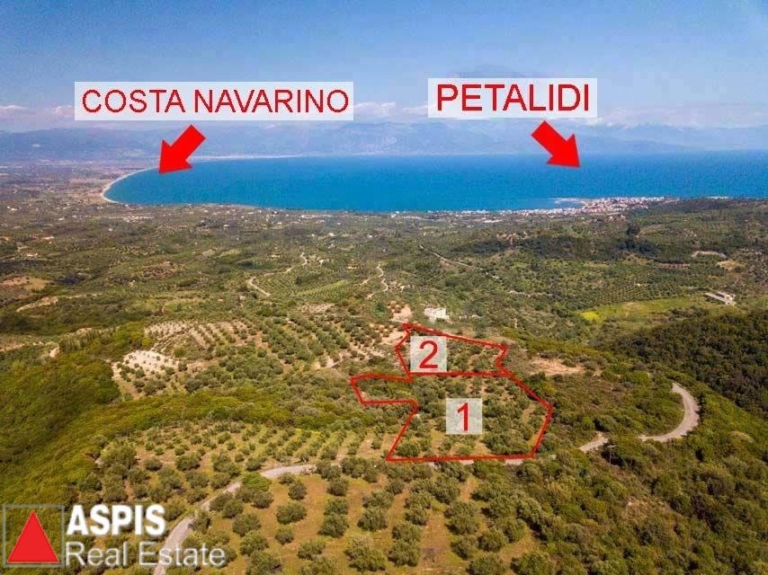 (For Sale) Land Plot || Messinia/Petalidi - 9.004 Sq.m, 320.000€