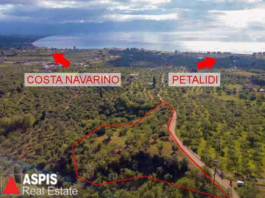 (For Sale) Land Plot || Messinia/Petalidi - 5.148 Sq.m, 180.000€