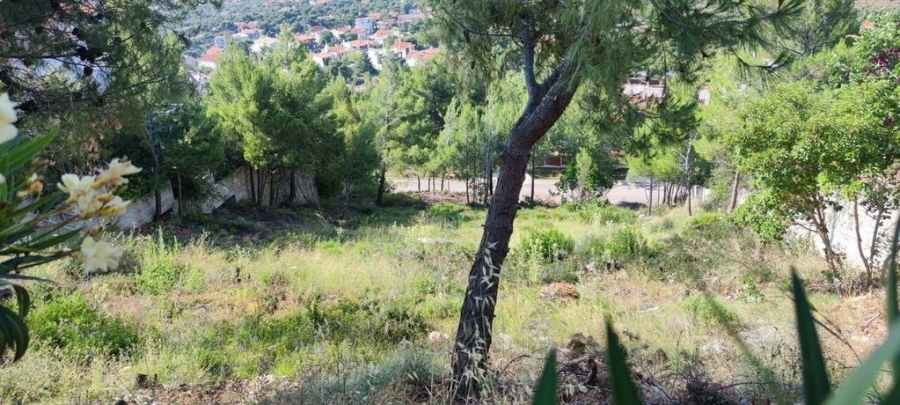 (For Sale) Land Plot for development || East Attica/Thrakomakedones - 1.003 Sq.m, 370.000€