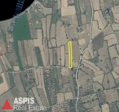 (For Sale) Land Agricultural Land  || Lesvos/Polichnitos - 2.297 Sq.m, 15.000€