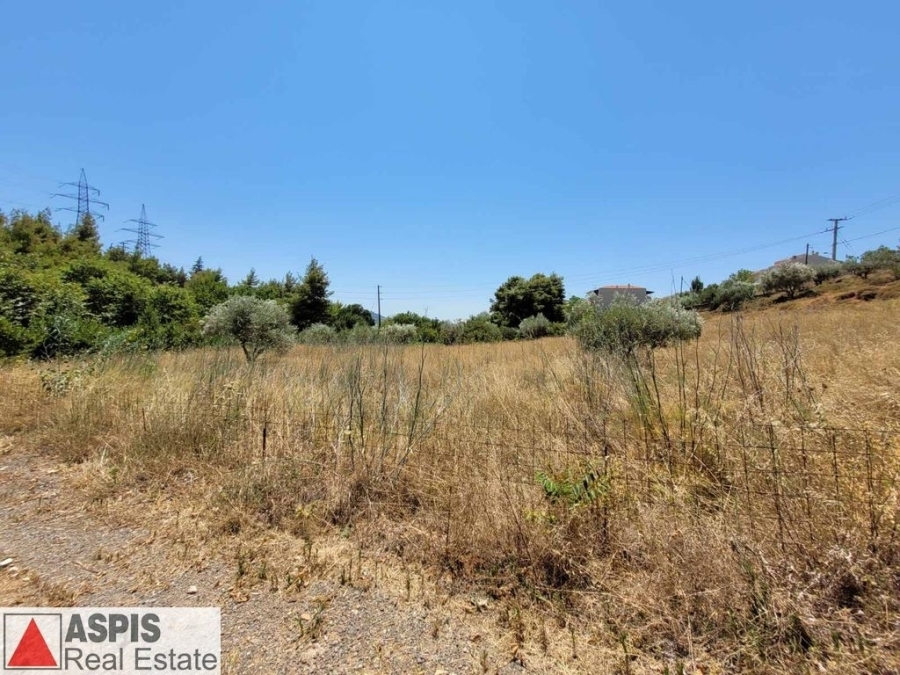 (For Sale) Land Plot for development || East Attica/Krioneri - 500 Sq.m, 120.000€