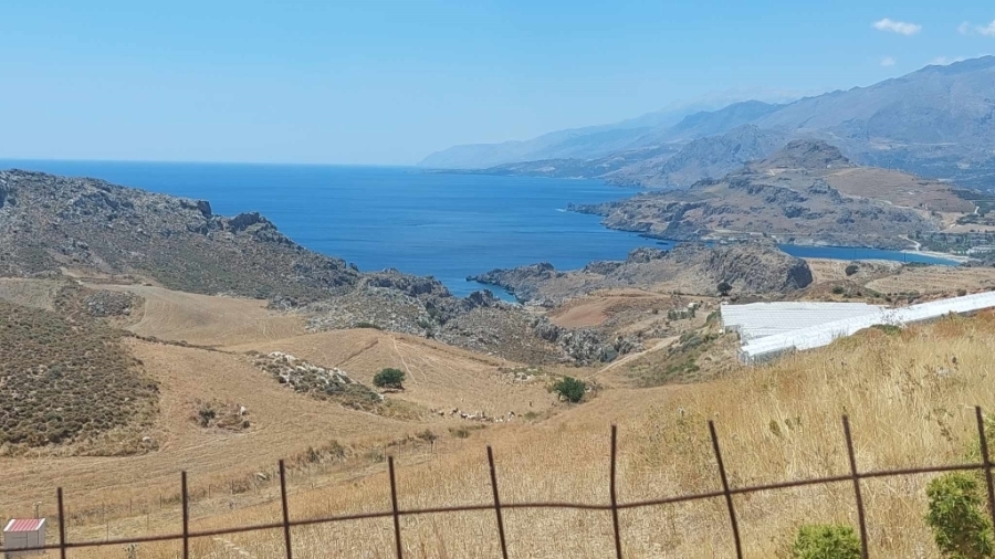 (For Sale) Land Plot || Rethymno/Foinikas - 6.190 Sq.m, 300.000€