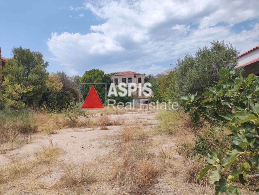 (For Sale) Land Plot || Chios/Omiroupoli - 2.480 Sq.m, 320.000€