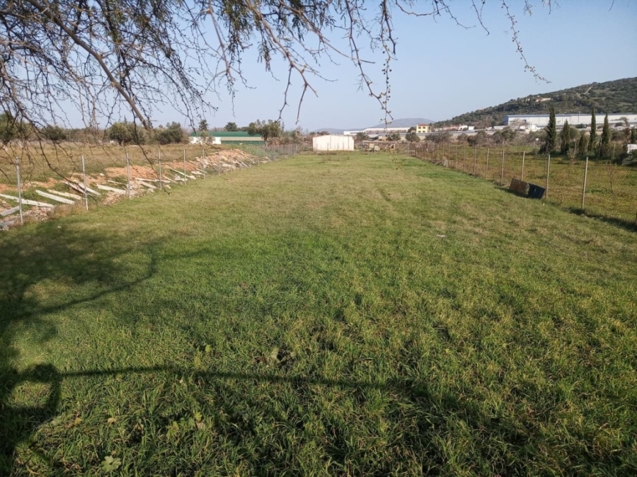 (For Sale) Land Agricultural Land  || East Attica/Koropi - 796 Sq.m, 15.000€