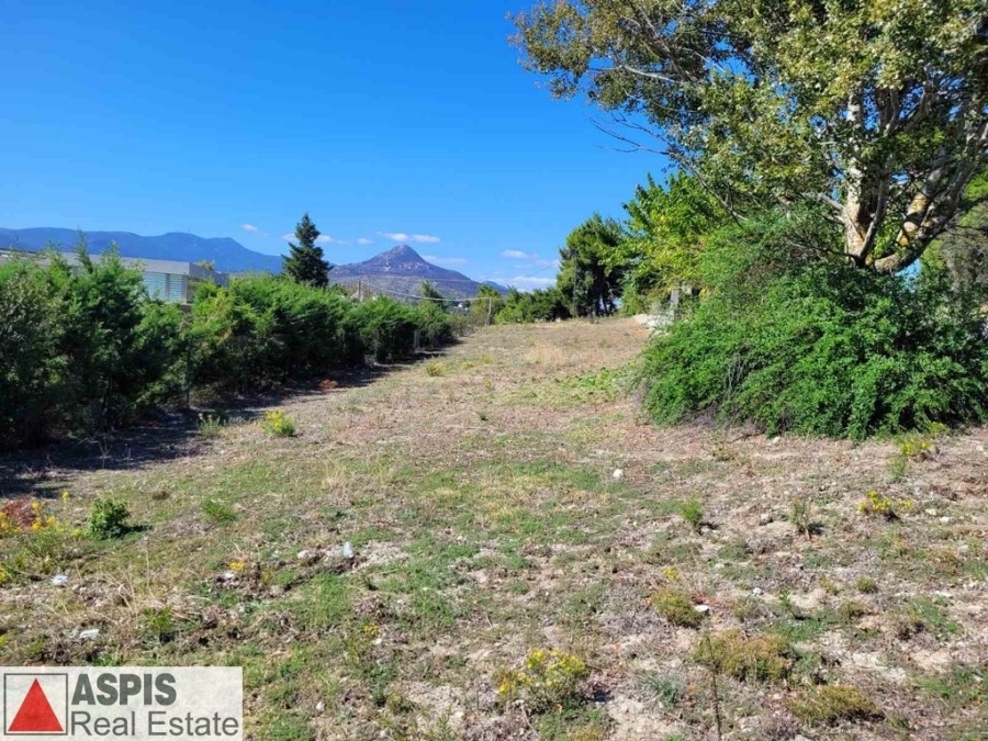 (For Sale) Land Plot out of City plans || East Attica/Kapandriti - 2.044 Sq.m, 125.000€