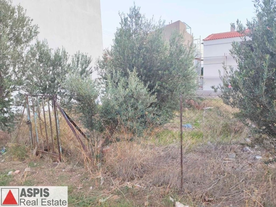 (For Sale) Land Plot for development || East Attica/Acharnes (Menidi) - 155 Sq.m, 38.000€