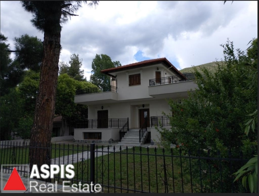 (Προς Πώληση) Κατοικία Μονοκατοικία || Θεσσαλονίκη Περίχωρα/Βασιλικά - 313 τ.μ, 4 Υ/Δ, 280.000€