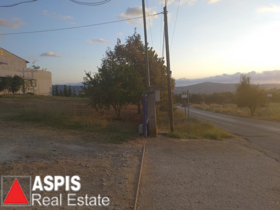 (For Sale) Commercial Small Industrial Area || Thessaloniki Suburbs/Vasilika - 1.600 Sq.m, 600.000€