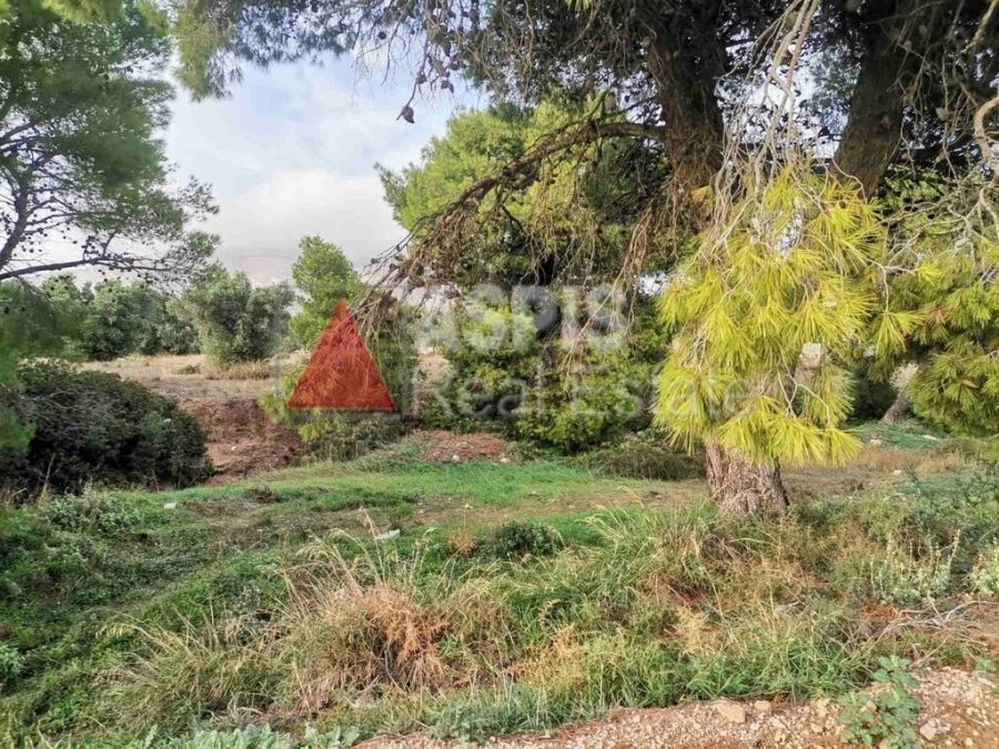 (For Sale) Land Agricultural Land  || East Attica/Keratea - 4.987 Sq.m, 150.000€
