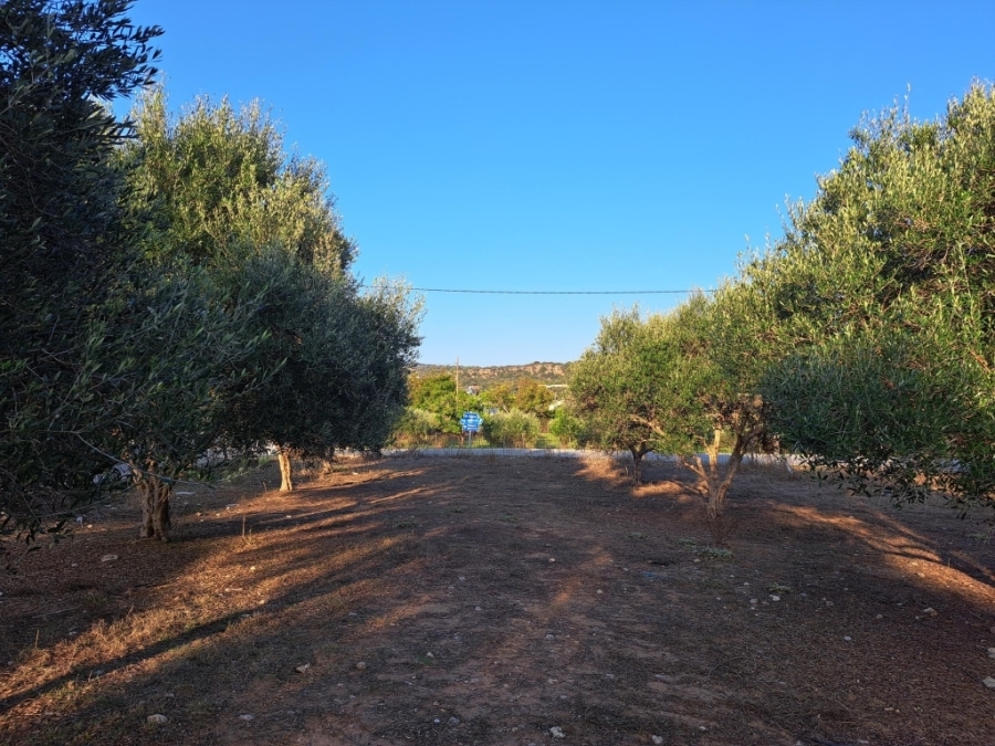 (For Sale) Land Plot || Rethymno/Nikiforos Fokas  - 905 Sq.m, 95.000€