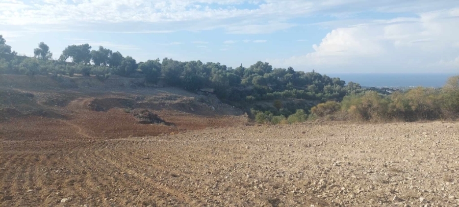 (For Sale) Land Agricultural Land  || Rethymno/Arkadi - 18.000 Sq.m, 130.000€