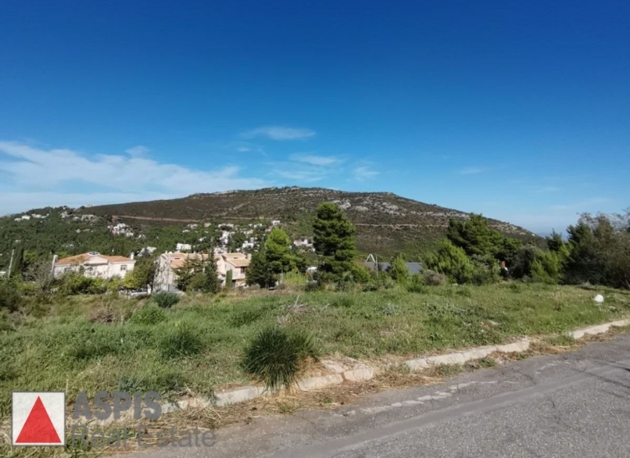 (For Sale) Land Plot for development || East Attica/Dionysos - 1.596 Sq.m, 454.000€