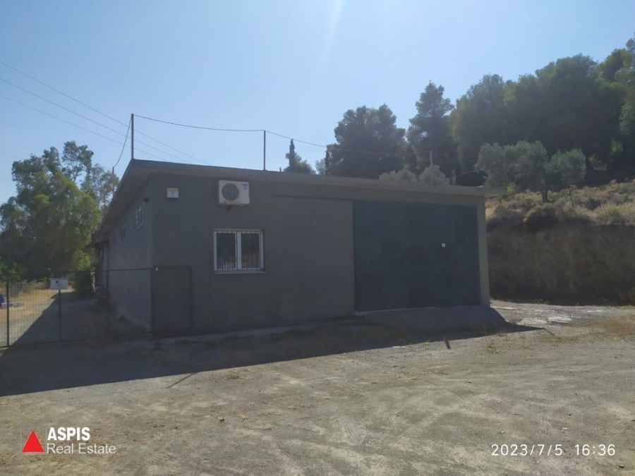 (For Sale) Commercial Industrial Area || Evoia/Messapia - 300 Sq.m, 350.000€