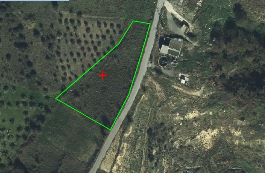 (For Sale) Land Agricultural Land  || Evoia/Messapia - 3.675 Sq.m, 11.000€