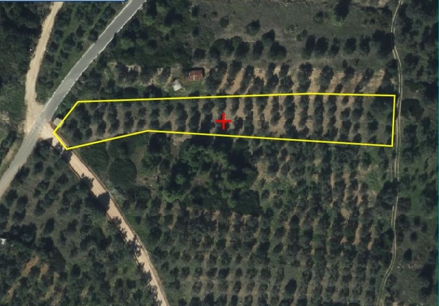 (For Sale) Land Agricultural Land  || Evoia/Messapia - 3.722 Sq.m, 11.000€