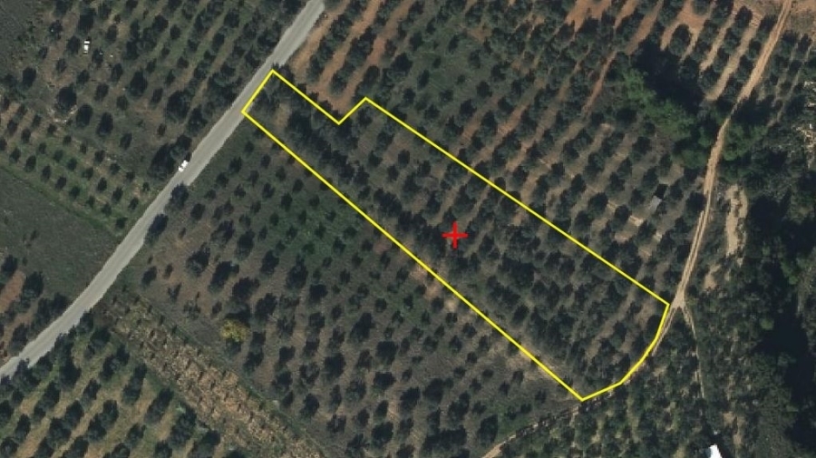 (For Sale) Land Agricultural Land  || Evoia/Messapia - 5.124 Sq.m, 20.000€
