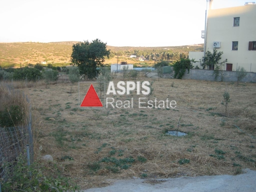 (For Sale) Land Plot || Chios/Mastichochoria - 972 Sq.m, 200.000€