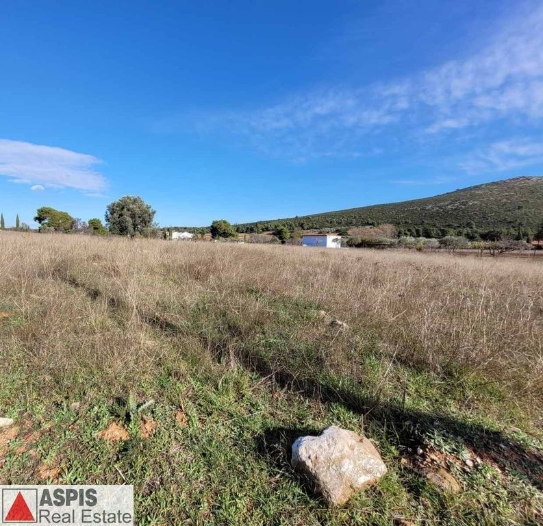 (For Sale) Land Plot out of City plans || East Attica/Stamata - 1.925 Sq.m, 70.000€