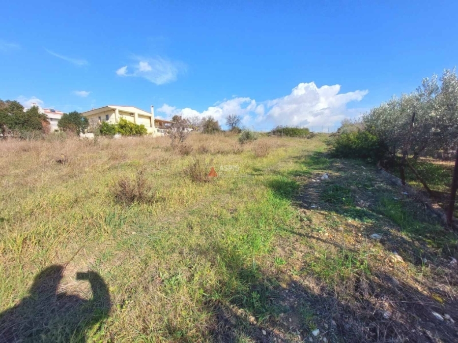 (For Sale) Land Plot out of City plans || East Attica/Pallini - 1.191 Sq.m, 380.000€