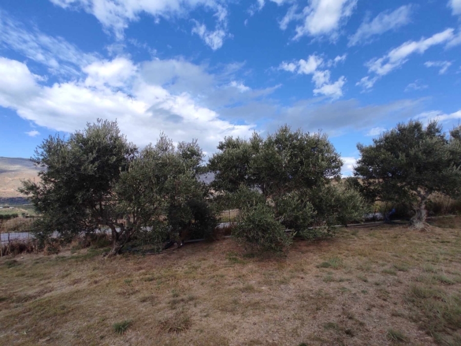(For Sale) Land Plot || Rethymno/Foinikas - 4.950 Sq.m, 120.000€