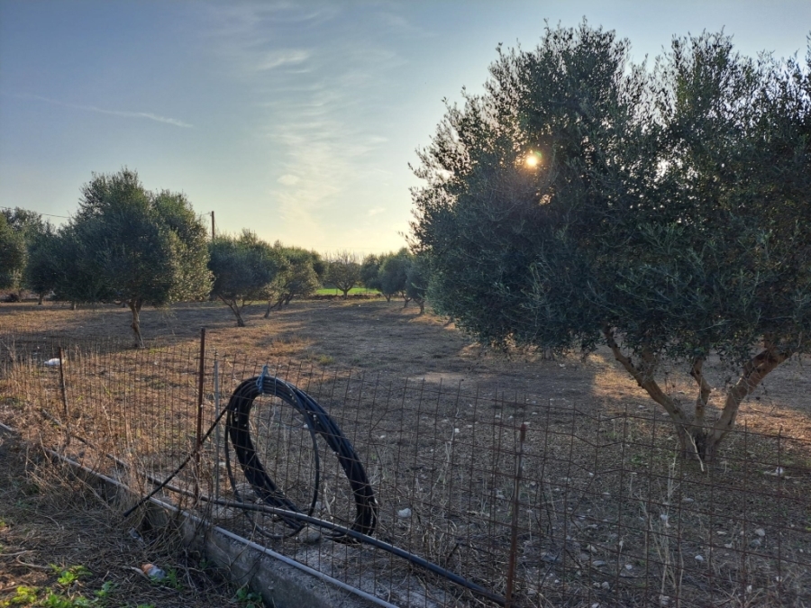 (For Sale) Land Plot || Rethymno/Nikiforos Fokas  - 905 Sq.m, 95.000€