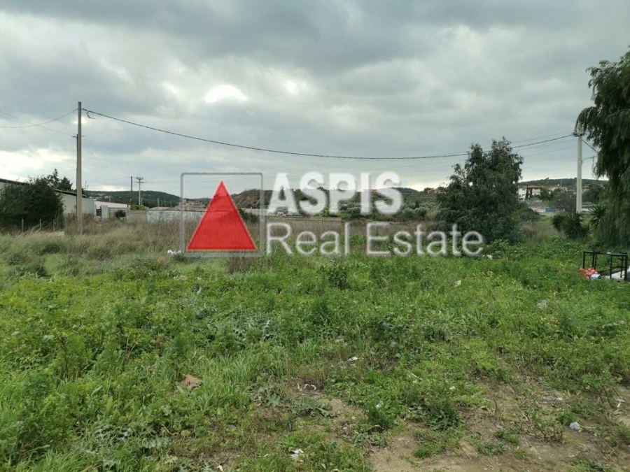 (For Sale) Land Plot || East Attica/ Lavreotiki - 5.000 Sq.m, 75.000€