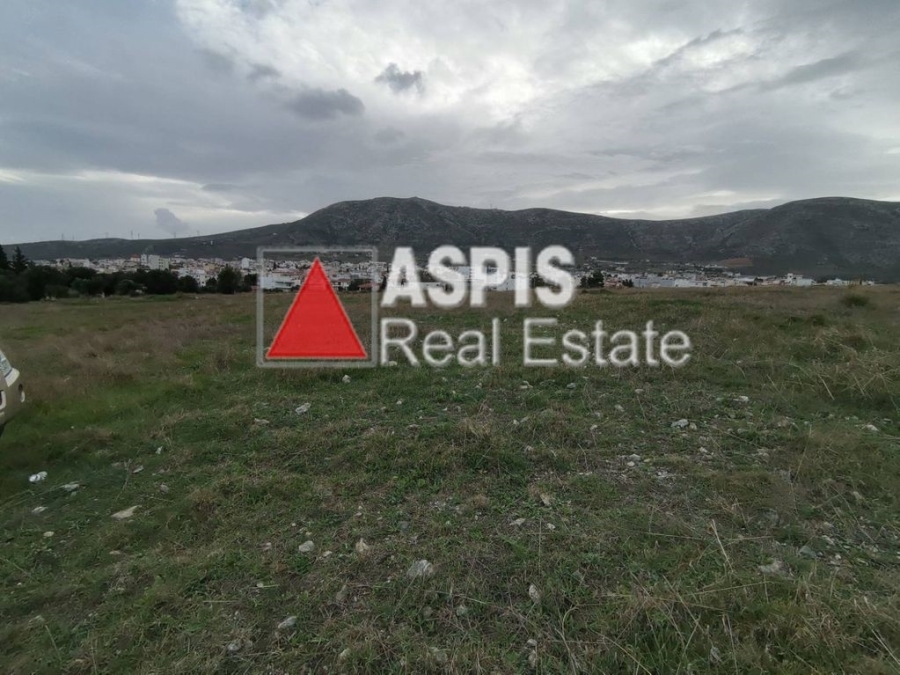(For Sale) Land Agricultural Land  || East Attica/Keratea - 3.600 Sq.m, 30.000€