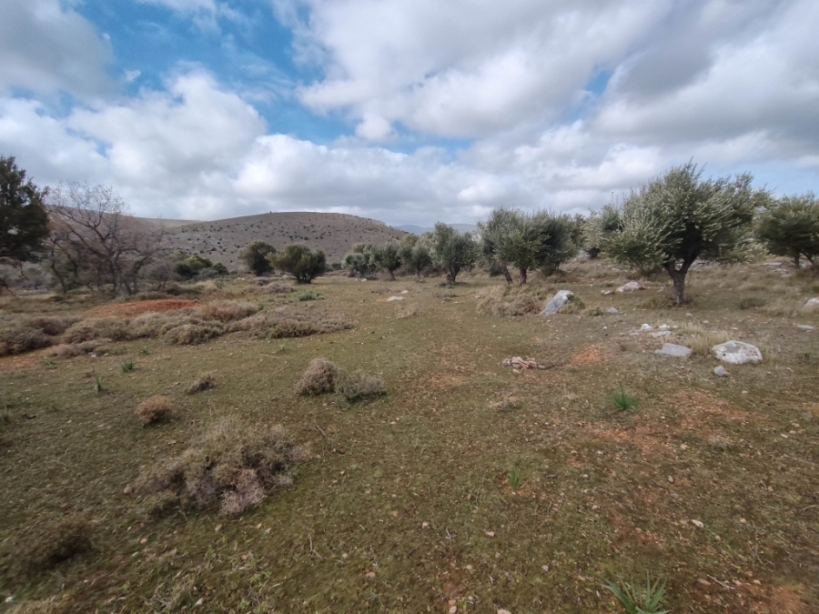 (For Sale) Land Plot out of Settlement || Chios/Chios - 16.910 Sq.m, 330.000€