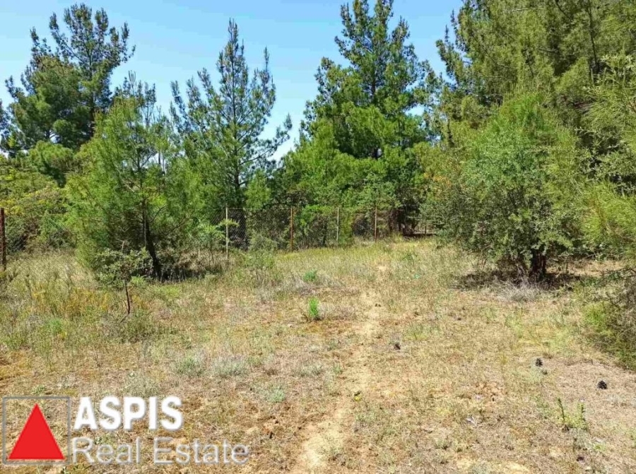 (For Sale) Land Agricultural Land  || Thessaloniki Suburbs/Pylaia - 600 Sq.m, 45.000€
