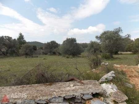 (For Sale) Land Agricultural Land  || East Attica/ Lavreotiki - 2.700 Sq.m, 150.000€