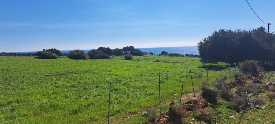(For Sale) Land Plot || Chania/Sfakia - 30.000 Sq.m, 550.000€