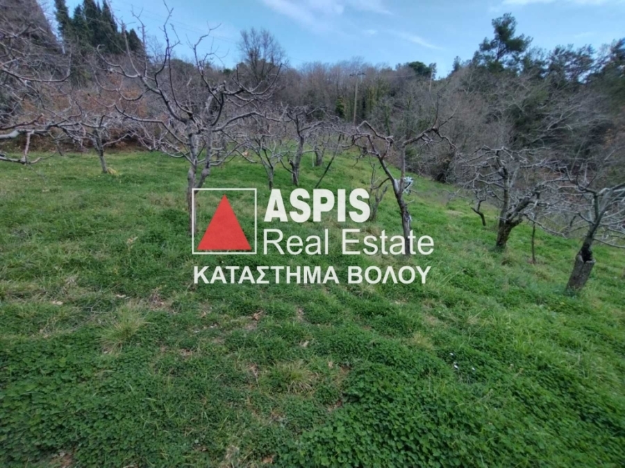 (For Sale) Land Agricultural Land  || Magnisia/Pilio-Afetes - 7.000 Sq.m, 25.000€