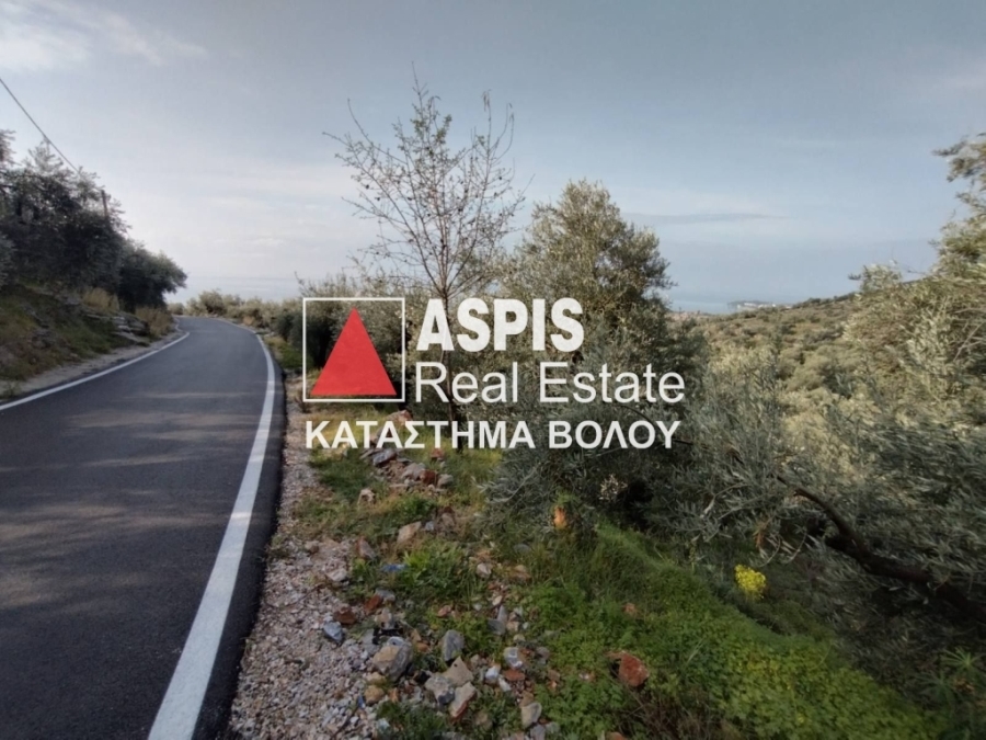 (For Sale) Land Agricultural Land  || Magnisia/Pilio-Milies - 5.050 Sq.m, 65.000€