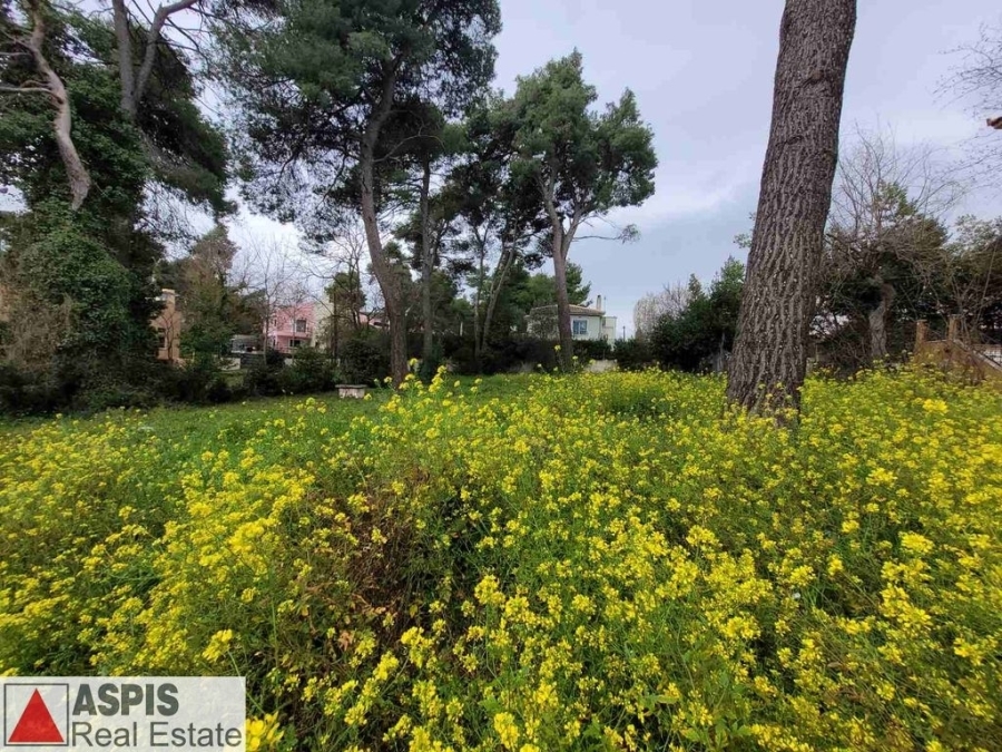 (For Sale) Land Plot for development || East Attica/Agios Stefanos - 735 Sq.m, 255.000€