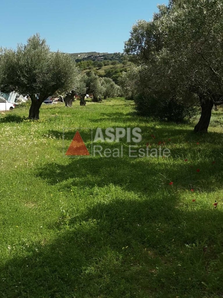 (For Sale) Land Agricultural Land  || East Attica/Keratea - 1.800 Sq.m, 23.000€