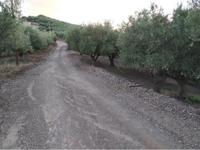 (For Sale) Land Agricultural Land  || Chania/Kissamos - 6.235 Sq.m, 100.000€