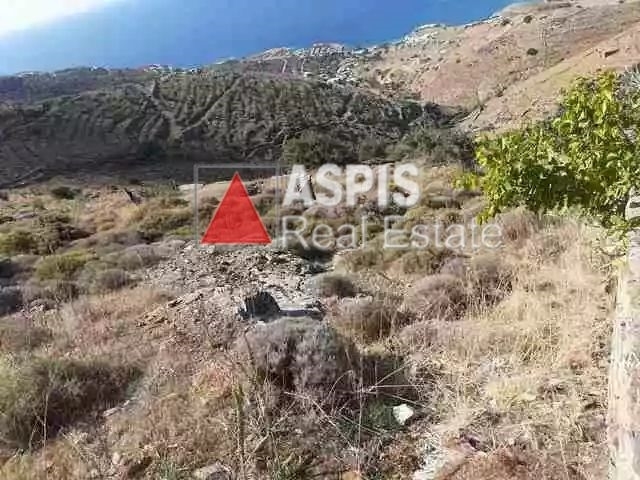 (For Sale) Land Agricultural Land  || Cyclades/Kea-Tzia - 13.000 Sq.m, 270.000€