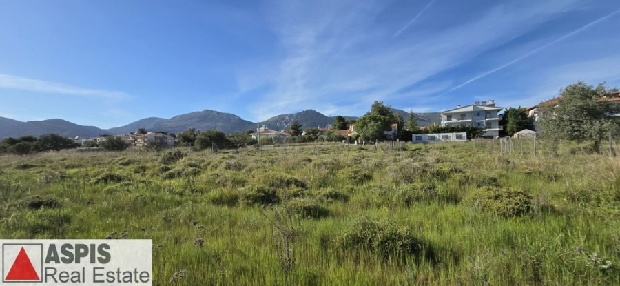 (For Sale) Land Plot for development || East Attica/Acharnes (Menidi) - 974 Sq.m, 150.000€