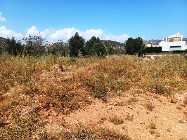 (For Sale) Land Plot for development || East Attica/Markopoulo Mesogaias - 1.044 Sq.m, 320.000€