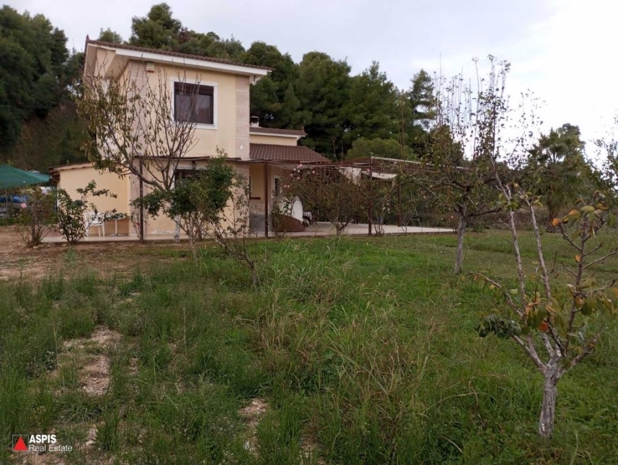 (For Sale) Residential Detached house || Evoia/Artemisio - 435 Sq.m, 700.000€