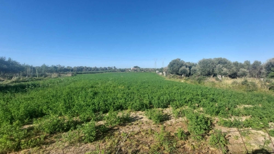 (For Sale) Land Plot || Rethymno/Arkadi - 7.070 Sq.m, 230.000€