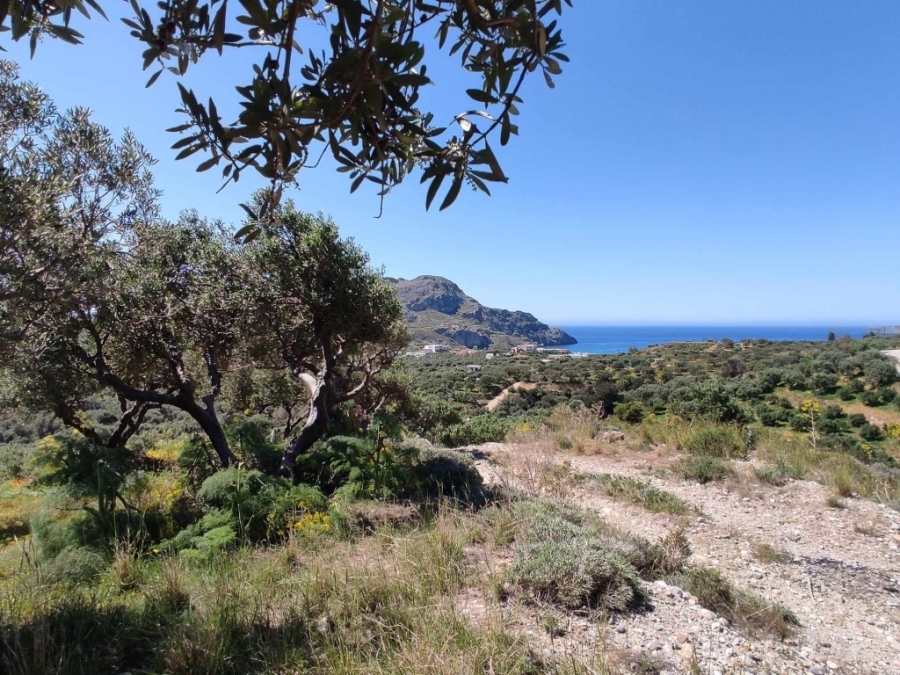 (For Sale) Land Plot || Rethymno/Foinikas - 12.700 Sq.m, 615.000€