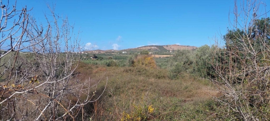 (For Sale) Land Plot || Rethymno/Geropotamos - 830 Sq.m, 35.000€