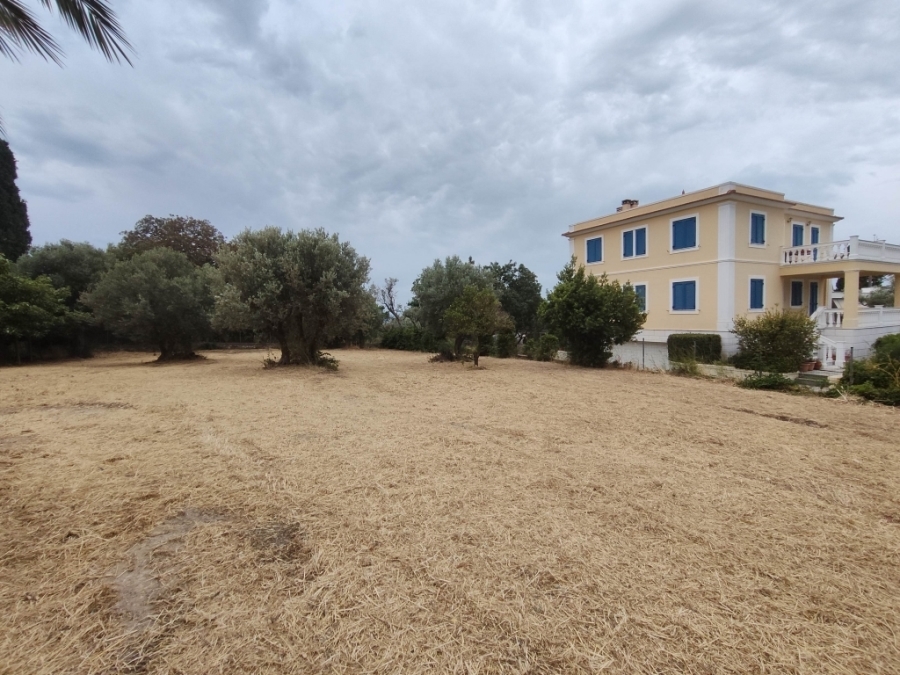 (For Sale) Land Plot || Chios/Omiroupoli - 970 Sq.m, 200.000€